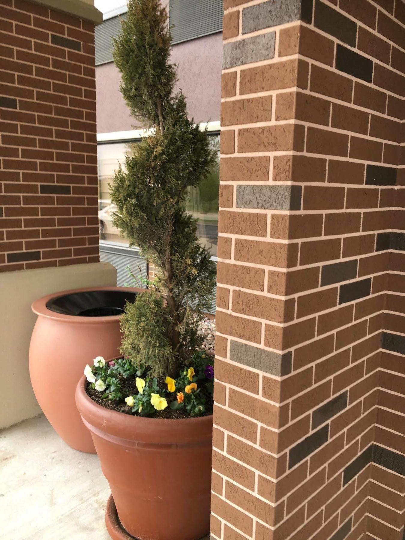 Hotel Hampton Joliet/i-80 Joliet